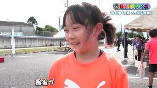 猫のひたいほどワイド 猫ひた 真田理希 6点 セット 猫のひたいほど