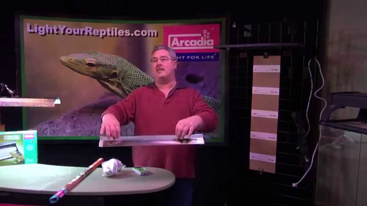 Arcadia High Out-put HO t5 Bulb in fixture