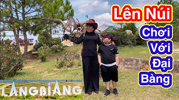 Trải Nghiệm Đỉnh Núi Langbiang | Truyền Thuyết Tình Yêu Chàng Lang và Nàng Biang| Hà Anh Family #42