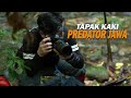 Ini Tapak Kaki HARIMAU JAWA Atau MACAN TUTUL?? [ Penelusuran ]