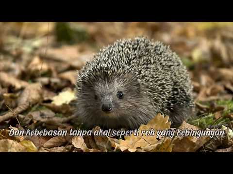 Stafaband Sabyan Mp3 mp3 song download mp3hitz.download 