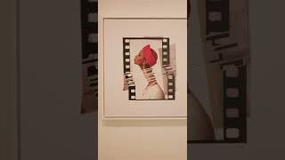 Inside ICPs Summer Exhibition Opening