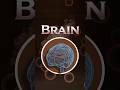 Your brain is your most powerful drug 💊🧠. Learn how it works.#Brain #PharmacyLife #LearnPharma