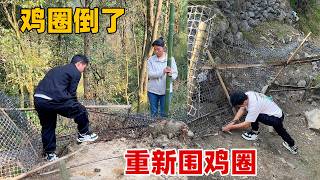 家里的动物全都造反了一到家全是关于它们的控诉邻居更是直言要放药毒死赶紧把鸡圈漏洞补上