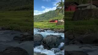 Download Lagu Amazing Nature MP3 Download Lagu Amazing Nature MP3