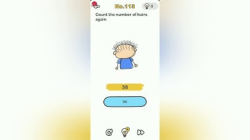 Brain Out Level 113 count the number of hairs again