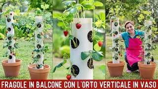 ALWAYS READY  STRAWBERRIES WITH THE VERTICAL GARDEN  EASY VEGETABLE TUTORIAL ON BENEDETTA'S BALCONY