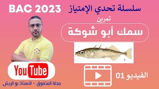 بكالوريا 2023 -  مسعى علمي -  سمك أبو شوكة - الأستاذ بو الريش