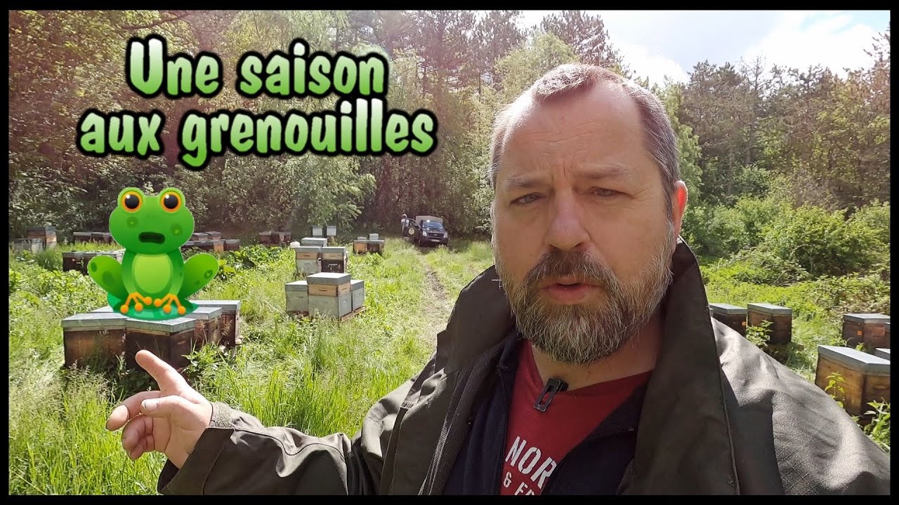 USaA aux grenouilles - S05E15