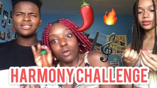 HARMONY CHALLENGE 🎼 (horse laugh chronicles)😂😂