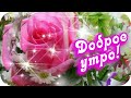 Доброе утро! 🌸Утра доброго сегодня пожелать скорей хочу...🌸 Прекрасное пожелание🌸Good morning!❤️