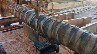 Download Lagu From Coconut Log to Luxury Rare Coconut Tree Sawing Process for Premium Floorboards MP3