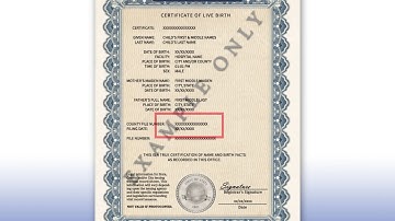 What Type Of Birth Certificate Is Needed For A Passport
