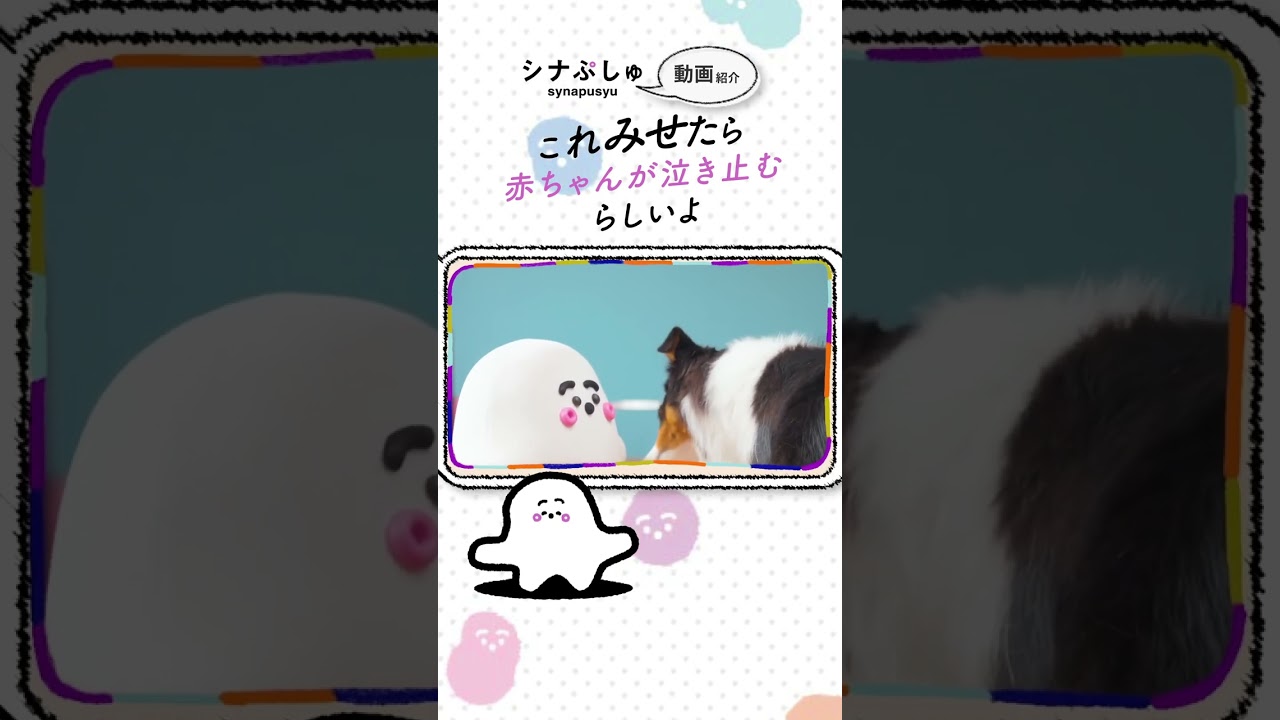 シナぷしゅ】ぷしゅぷしゅのまいにち【赤ちゃんが泣き止む・喜ぶ