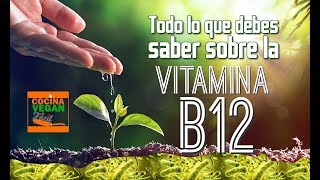 Vitamina B12 (todo lo que debes saber) - Cocina Vegan Fácil