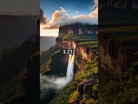 STOP Overlooking Canaima