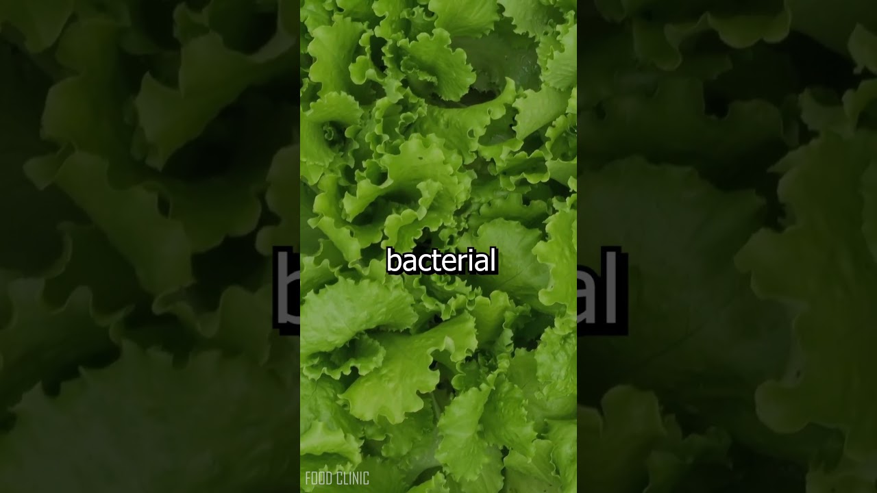 Do not eat leafy green vegetables during the rainy season
