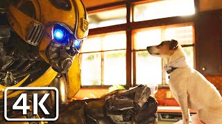 BumbleBee - BumbleBee destroys Charlie's House (funny scene) [4K]