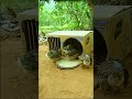 Technique Unique Trap # Creative DIY Quail Bird Trap #shorts