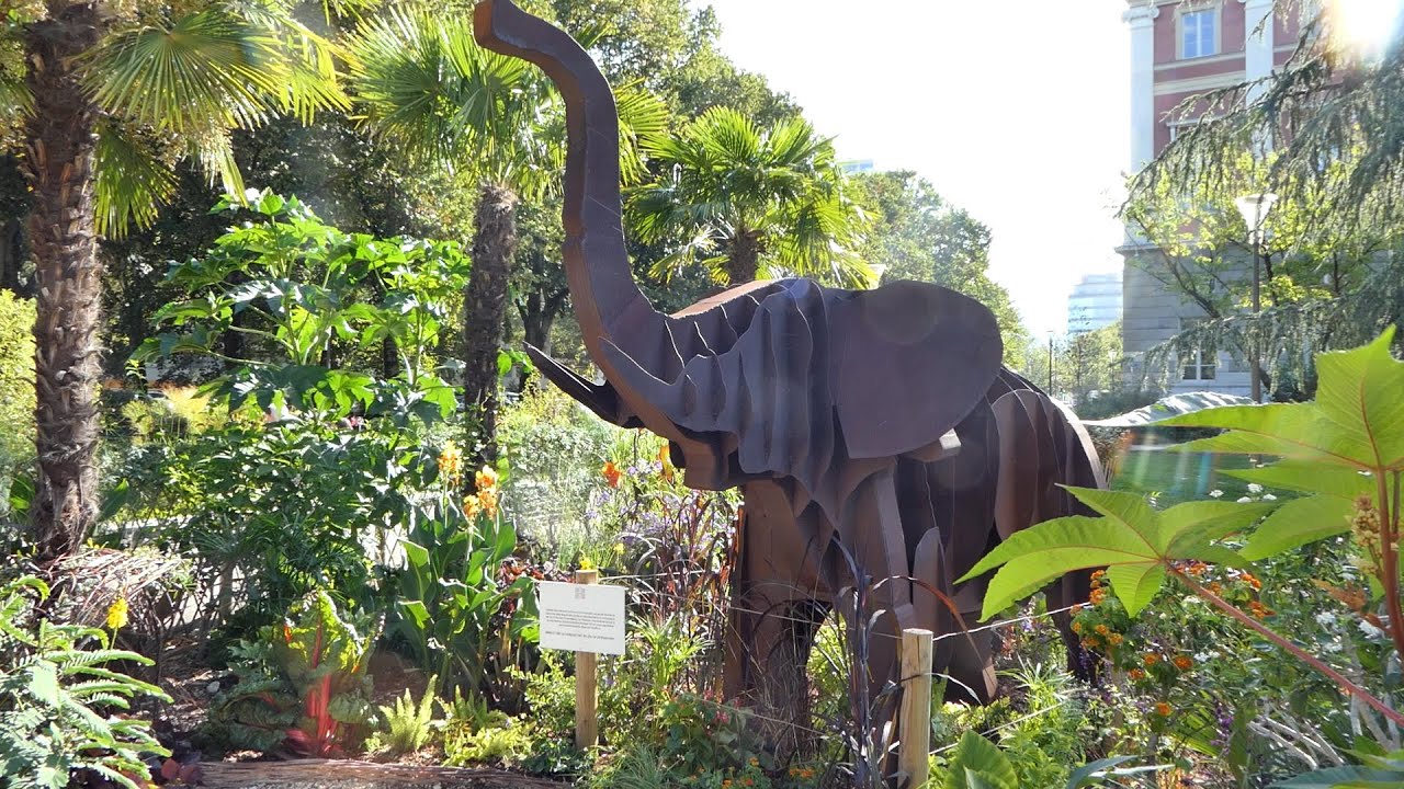 Un nouvel lphant pour la ville de Chambry