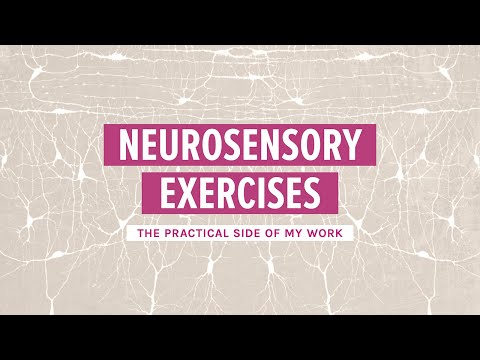 Neurosensory exercises (the practical side of my work)