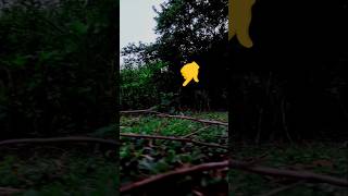 Chudail | Bhoot | Bhut | Ghost | Horror video | Bhoot wala cartoon | Cartoon wala bhoot # ghost #ai