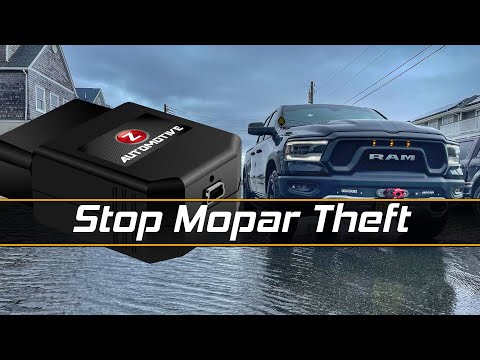 Stop the Theft