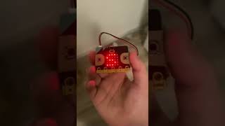 Microbit: Compass Vlad Gruita