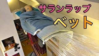 家の柱にサランラップベットを作ってみた！　PDS