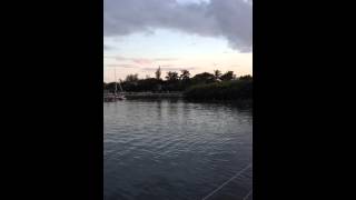 Blowing Conch Shells at Dusk In Man-O-War