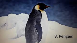 Guess the Sound Game - 9 Sounds to Guess screenshot 2