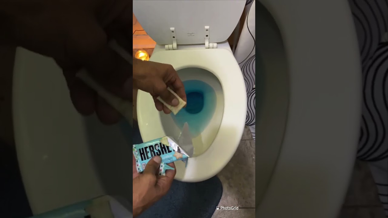 Will it Flush? - Hershey’s Sugar Cookies 