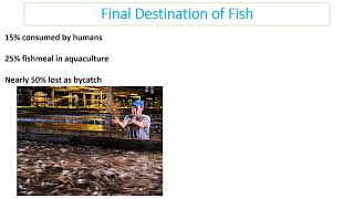 Mr Phillips IB ESS Topic 4.3 Aquatic Food Production video