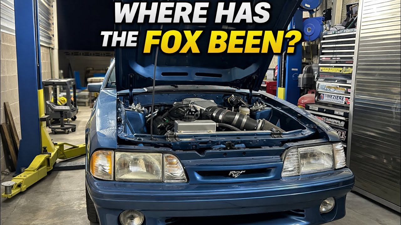 Обновление Coyote Swap Fox