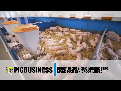 Video: Effect Van Tetracycline-behandelingsregimes Op De Selectie Van Antibioticaresistentiegen In De Loop Van De Tijd Bij Biggen