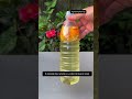 8 Secret Gardening Hacks No One Tells You 🌿
