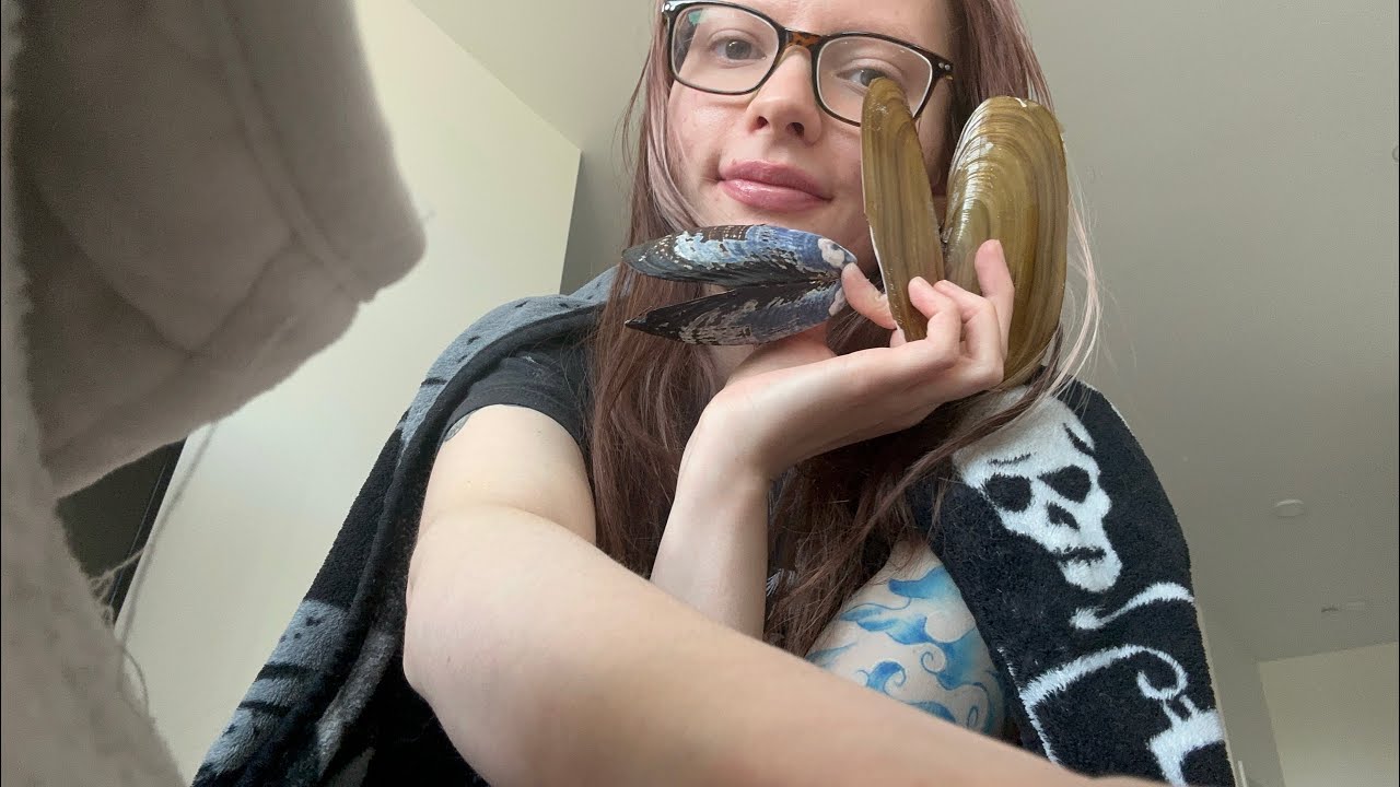 ASMR | Sea Shell Tapping And Scratching With Whispers 1 HOUR