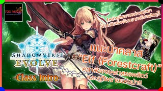 Shadowverse Evolve - Class introduction Forestcraft