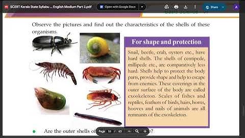 STD 6 BASIC SCIENCE CHAPTER 10 FOR SHAPE AND STRENGTH PAGE 124 TO 129 SCERT Kerala State Syllabus