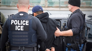 Half targeted by ICE had traffic convictions or no record