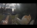 Checking In With Your Cat Friend | RingTV