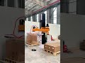 Handle Oversized Cartons  Custom Palletizing EOAT #palletizing #machine#robotics #depalletizing #pp