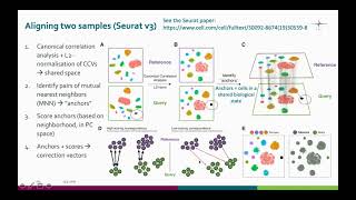 Famous scRNA seq  Integrated analysis  Aligning samples and clustering Profile