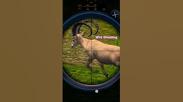 Wild Beast Shooting53🤝🤝 #best #gaming #ibex #wolf #shortsvideo