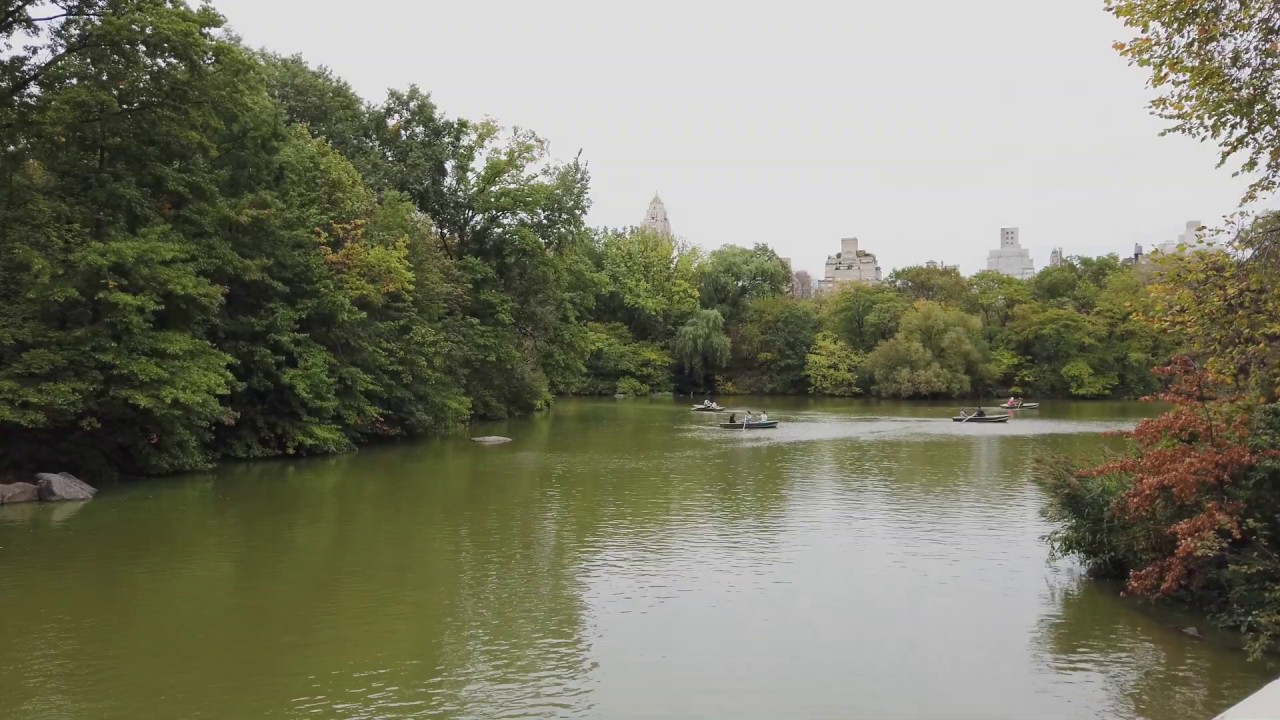 Bridge and rowboats in New York Central Park, nYC YouTube