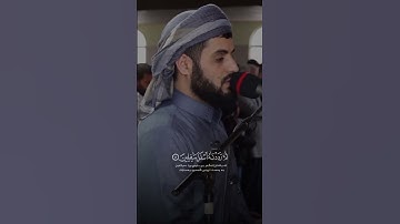رعد محمد الكردي سورة التين