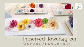 【プリザーブドフラワーとは】13年後のお花お見せします！どんなお花か詳しく説明♪#60