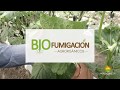 Biofumigación Agrorgánicos