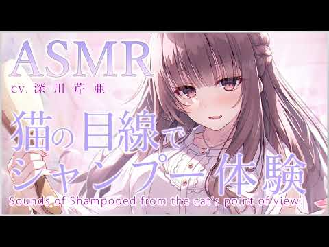 【猫になるASMR】猫の目線でぬるま湯とシャンプー【CV.深川芹亜】