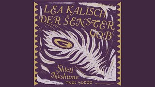 Download Lagu Ikh Vil Nisht Aza Khosn MP3 Download Lagu Ikh Vil Nisht Aza Khosn MP3
